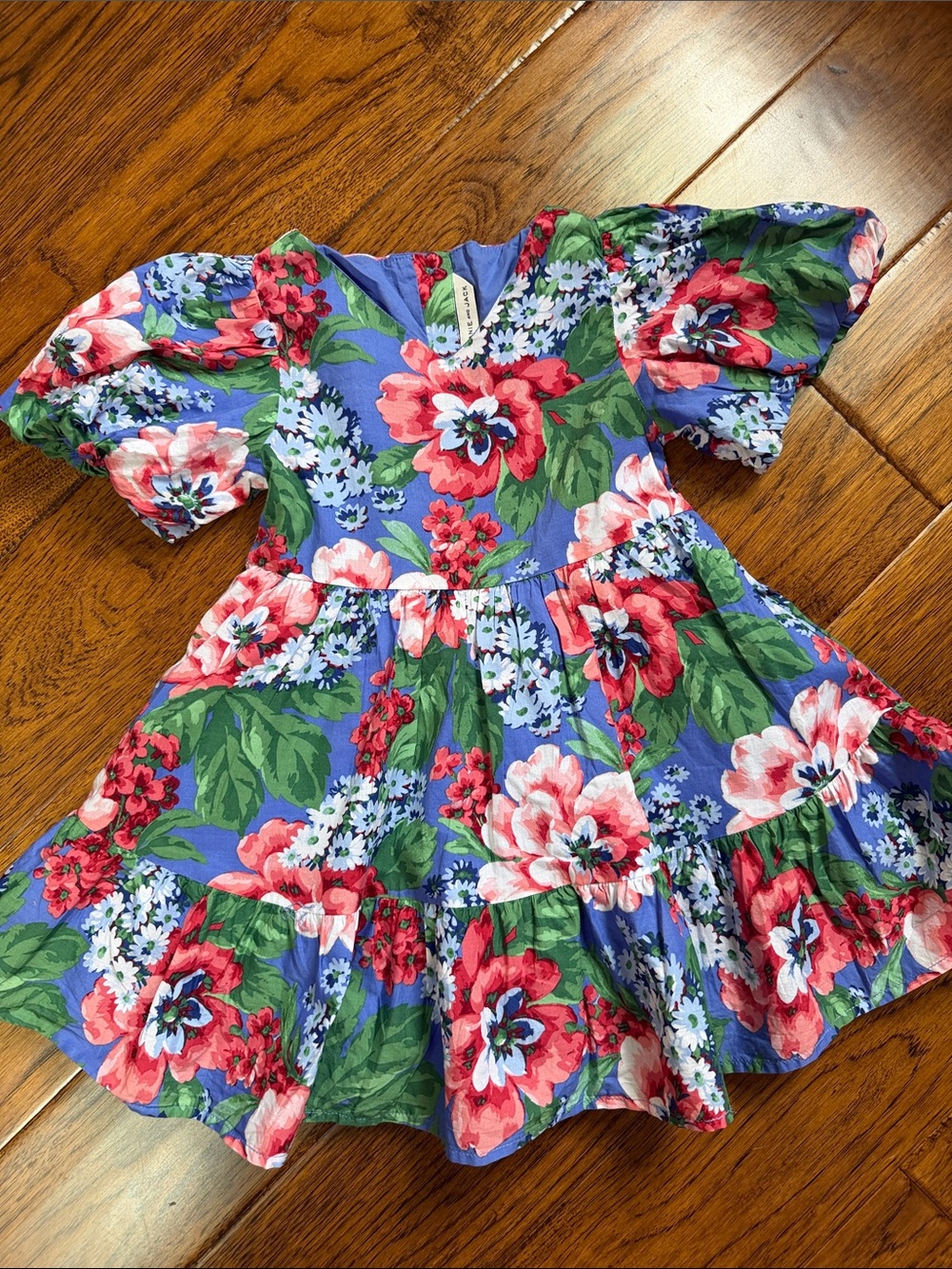 Janie and Jack Blue Floral Puff Sleeve Dress with Pink & Green Accents